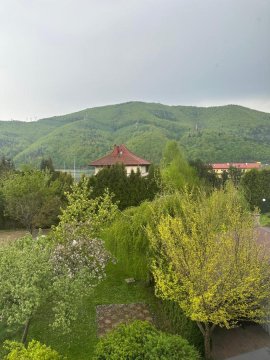 Pokoje Maria