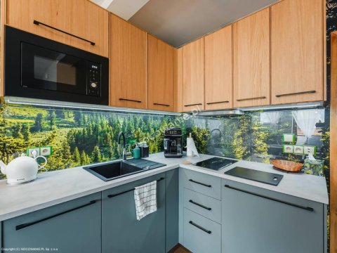 Apartament Skała