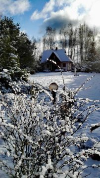 Siedlisko Gruszki Puszcza Białowieska