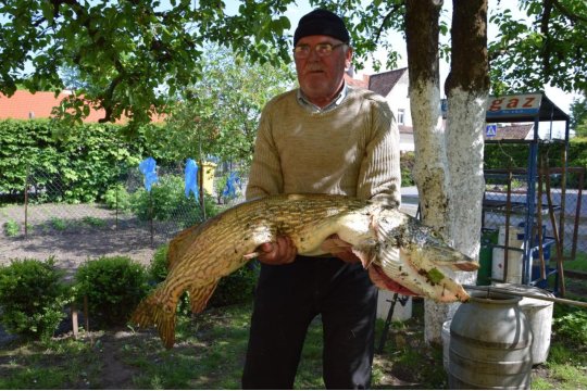Panterej Pokoje Gościnne