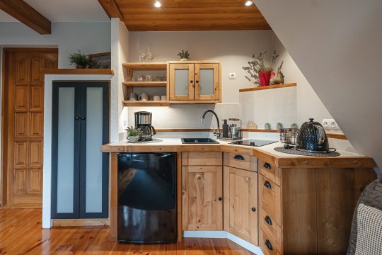 Apartamenty u Giewonta 