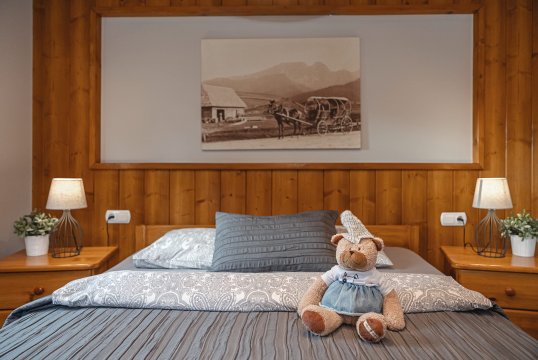 Apartamenty u Giewonta 