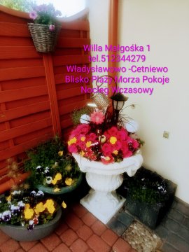 Willa Małgośka Tani Nocleg Władysławowo -Cetniewo Tanio blisko plaży 
