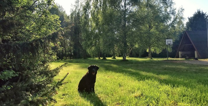 Domki nad morzem "CELLO"