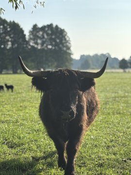 Farma Puchałowo