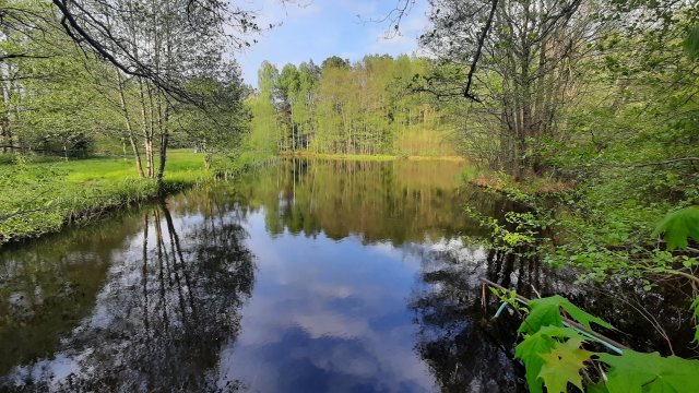Mazury pokoje domki nad samym jeziorem - własna plaża - śniadania - łódki kajaki