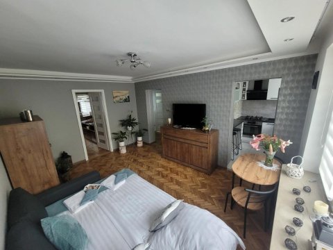 Apartament Park Saski