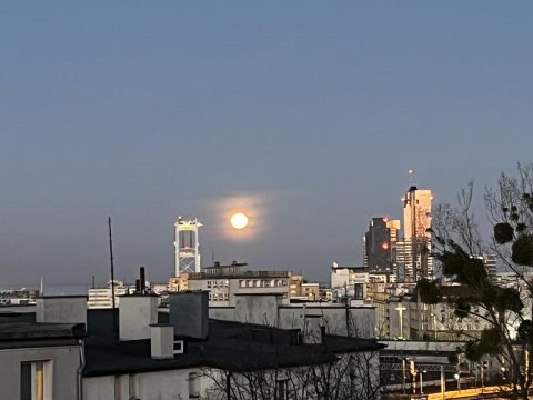 SEAPORT 18/28