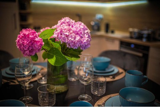 Apartament Vitis Rose