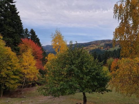 Domek na Obidzy