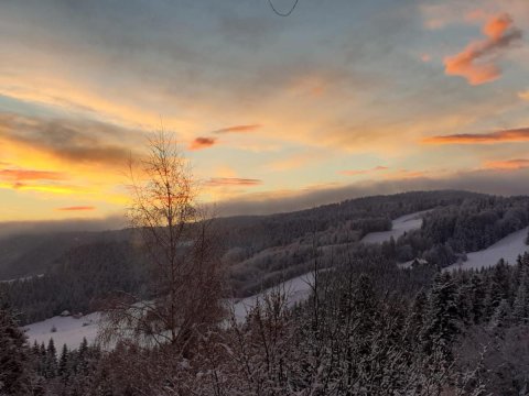 Domek na Obidzy