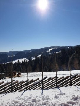 Domek na Obidzy