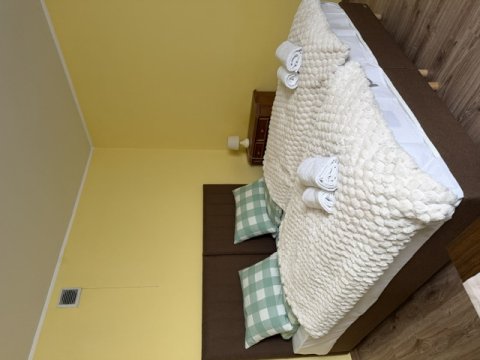 Apartament Salamandra Due