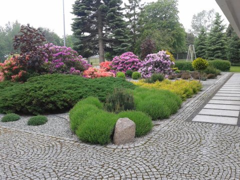 Austra ogród front - Dom Gościnny Austra