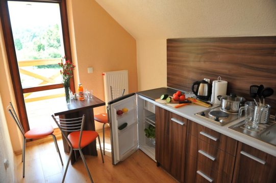 kuchnia - Apartamenty nad Wisłą