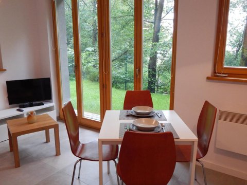 salon apartamentu z wyjściem na taras - ATENA apartamenty Zakopane