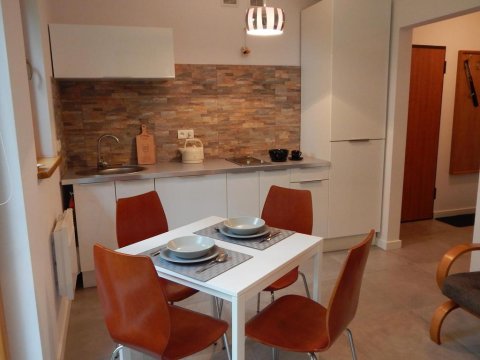 kuchnia wyposażona dla 4-5 osób - ATENA apartamenty Zakopane