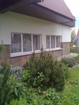 Apartament Koszysta