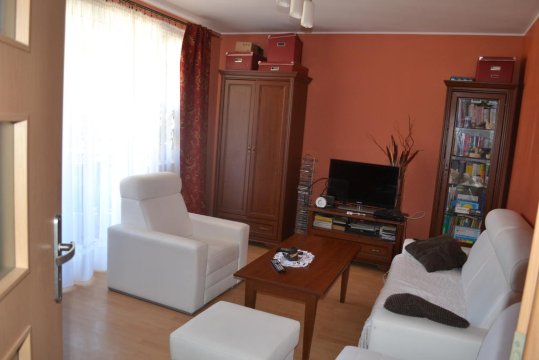 salon - Mieszkanie na Budapesztańskiej
