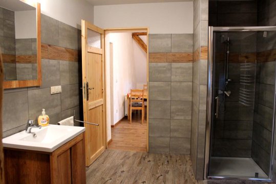 łazienka w apartamencie sosnowym - Agroturystyka Pośniak