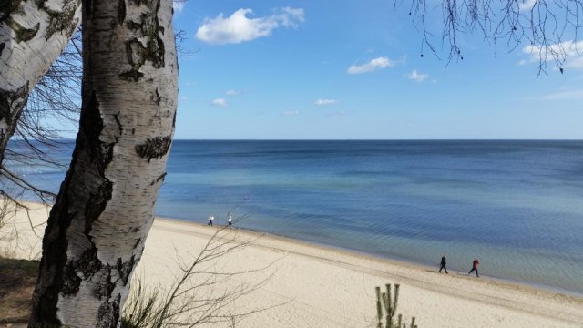 MOLO - otoczenie - Kawalerki i mieszkania 2-pokojowe w Sopocie