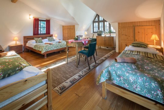 Apartament nr4 - Willa Alpina