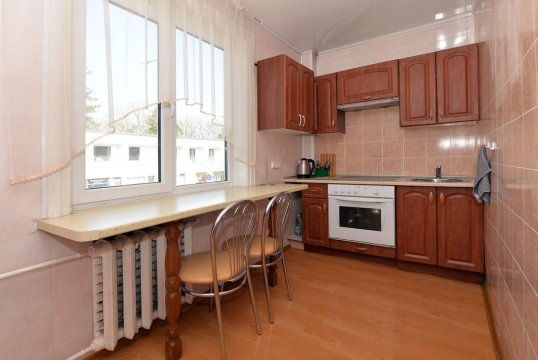 Apartment for rent in Druskininkai city