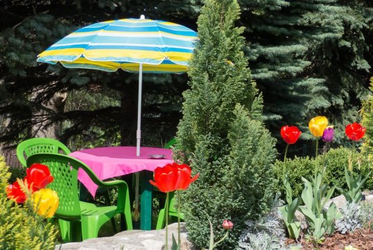 ogród - Willa JANECZKA | APARTAMENT i pokoje w centrum