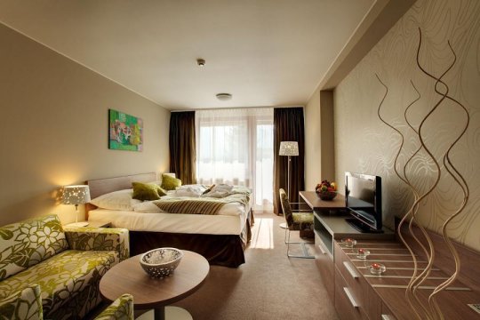 room - Hotel Bystra