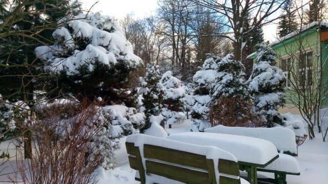 Ogród zimą - Pensjonat FORTUNA