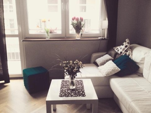 Salon z rozkładaną kanapą, stołem jadalnym i TV - Balticrent.pl - Apartamenty na wynajem