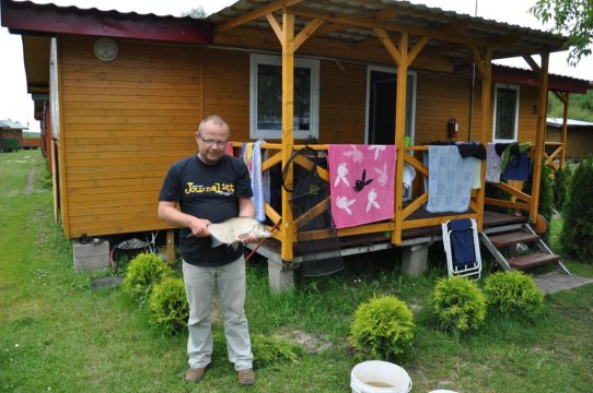 domki o wysokim standardzie; 2-10 osób