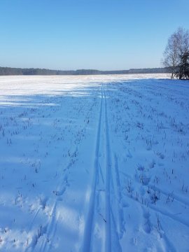 Buryłówka