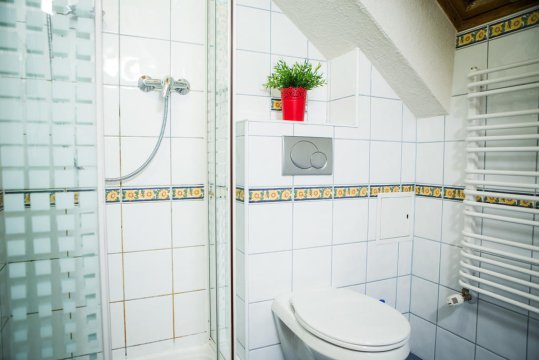 Apartament 4 os.dorosłe - Leluja Zakopane  Centrum Szymoszkowa