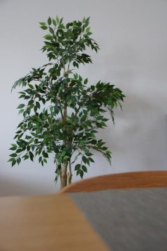 Studio Scandi