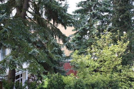 Nocleg Świnoujscie