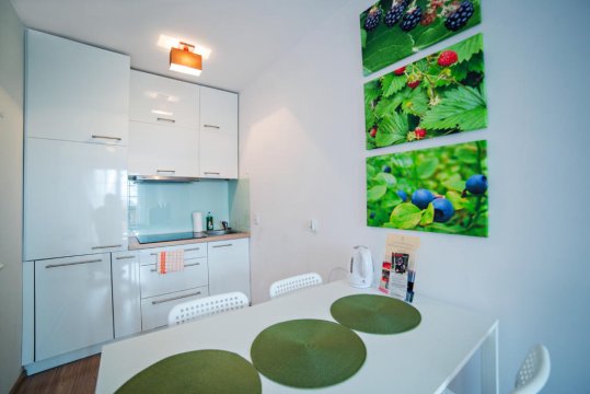aneks kuchenny z lodówką, zmywarką, indukcją i wyposażeniem - Apartament Mięta- balkon, cisza,szum strumyka, internet.