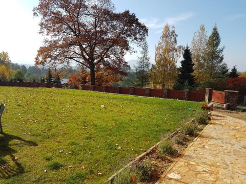 widok - SARNA KARKONOSZE
