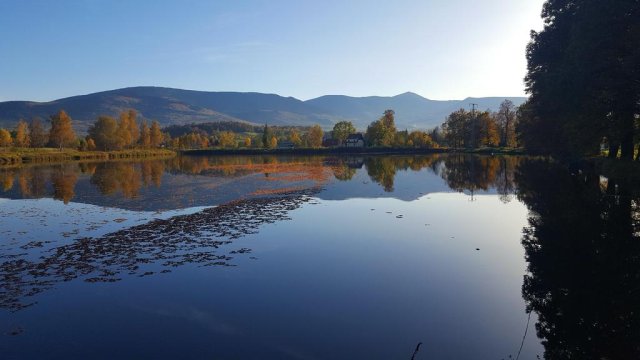 Park koło domu - SARNA KARKONOSZE