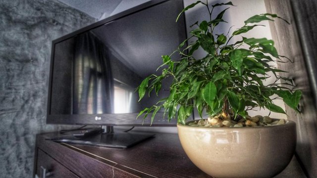 Apartamenty na Pięterku | Dom z widokiem na Jezioro Jamno