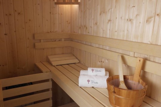 sauna fińska na parterze - Ostoja Zaskalskie Apartament Diament 100 metrów