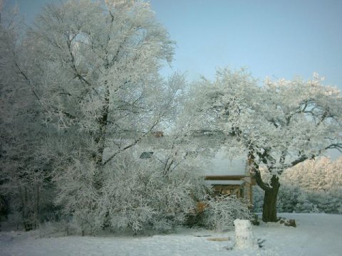 Zima w Pensjonacie - Chata Na Skrzynce. Ekologiczny dom z drewnianych bali nad Jeziorem Powidzkim