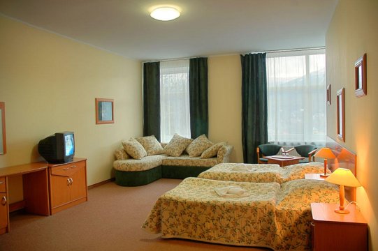 Pokój 2-osobowy z widokiem - Hotel Bosman