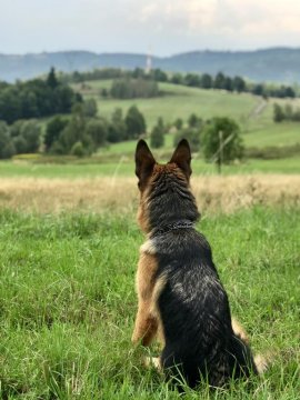 Domek w górach z ruską banią na wyłączność dla 2-6 osób - Karkonosze  