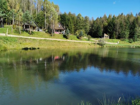 Domek z kominkiem w ustronnym miejscu w lesie nad stawami.