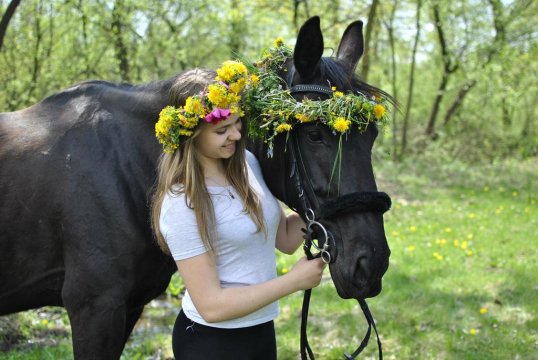 Stajnia Alado - Gospodarstwo Agroturystyczne