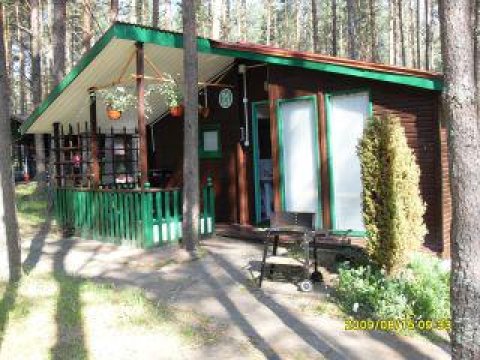 Bory Tucholskie Domek , las, jezioro