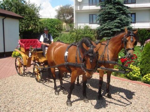 Agroturystyka Wadowice