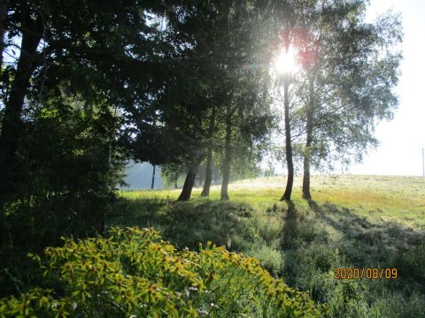 Widok z Willi - Ekskluzywna agroturystyka, jak z bajki! Do nas się wraca!