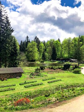 Leśny Dwór | Rudawski Park Krajobrazowy | Drewniane Chaty | W sercu lasu 